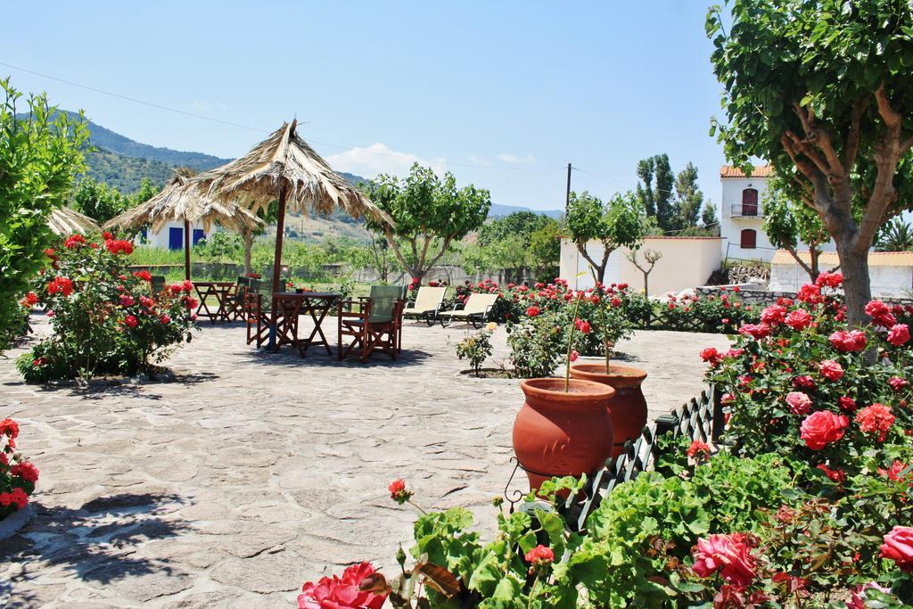 Villa Vicky Petra  Exterior photo